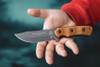 TOPS Knives Shadow Hunter Fixed Blade - 4.5" 1095HC Tungsten Cerakote Blade, Tan Canvas Micarta Handles, Coyote Tan Kydex Sheath