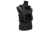 Grey Ghost Gear Plate Carrier - Body Armor Carrier, Laminate Nylon, Designed to Carry a Pair of 10" X 12" Hard Plates or Most Large SAPI Plates