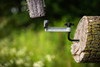 Tunnel Vision Game Camera Mount