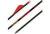 GOLD TIP ARROW HUNTER 340 2" RAPTOR VANES 1/2DOZ