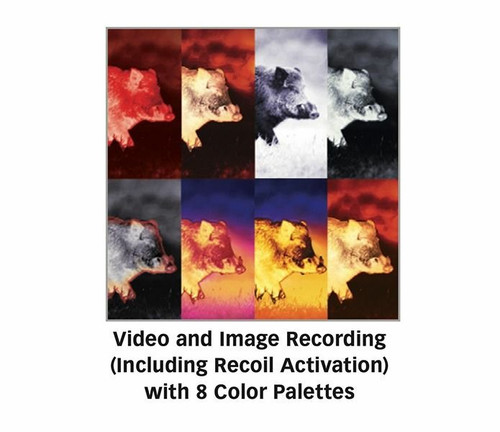 Sig Sauer ECHO3 2-12X40 Thermal Reflex Sight Sig Sauer ECHO3 2-12X40 Thermal Reflex Sight