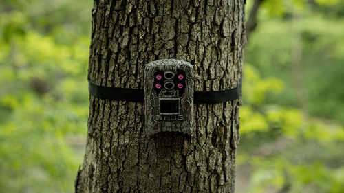 Bog Blood Moon 1080p Infrared 22MP Game Camera with Removable Viewing Screen Bog Blood Moon 1080p Infrared 22MP Game Camera with Removable Viewing Screen