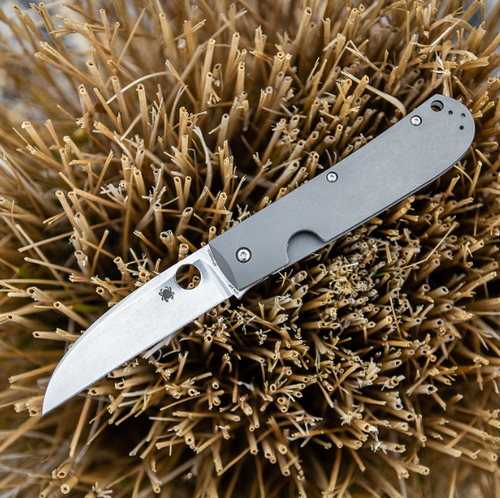 Spyderco Marcin Slysz SwayBack Folding Knife 3.53" CTS-XHP Stonewashed Wharncliffe Blade, Titanium Handles - C249TIP Spyderco Marcin Slysz SwayBack Folding Knife 3.53" CTS-XHP Stonewashed Wharncliffe Blade, Titanium Handles - C249TIP