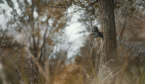 Spypoint Adjustable Mounting Arm Compatible With Camera's w/Standard 1/4-20 Screw-In Tripod Spypoint Adjustable Mounting Arm Compatible With Camera's w/Standard 1/4-20 Screw-In Tripod