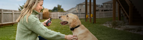 Garmin Delta SE Dog Training System with Dog Collar and Handheld Device Garmin Delta SE Dog Training System with Dog Collar and Handheld Device