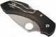 Spyderco Dragonfly 2 Folding Knife - 2-5/16" VG10 Satin Plain Blade, Black FRN Handles