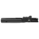 Angstadt Arms AR 15 Bolt Carrier 9mm Black - AA09BCGNIT