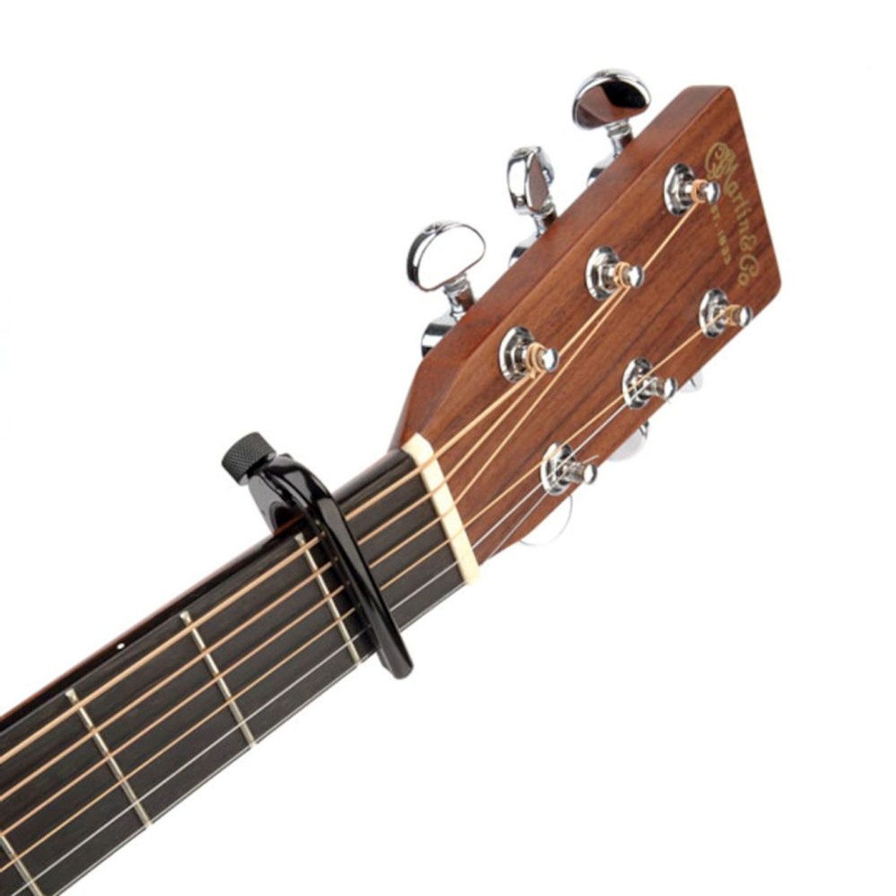 steinberger capo