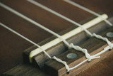 Ukulele vs. Guitar Strings: Are They Interchangeable?