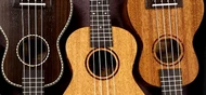 Worth Ukulele Strings vs. Aquila Nylgut: Which strings are right for your uke?