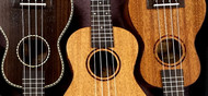 Worth Ukulele Strings vs. Aquila Nylgut: Which strings are right for your uke?