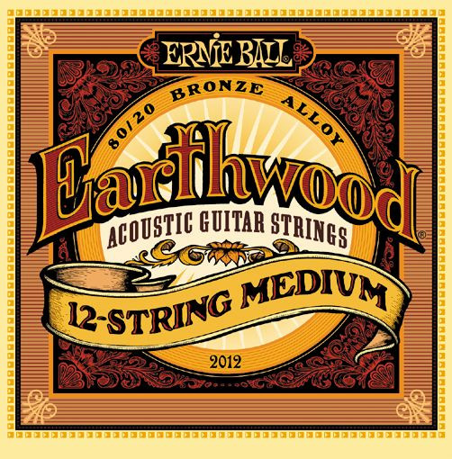 Ernie Ball 2146 Earthwood Phosphor Bronze Acoustic Guitar Strings
