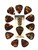 Martin Guitar Picks Tortoise Shell 12 Pack