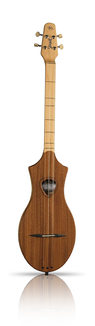 World Instrument Strings