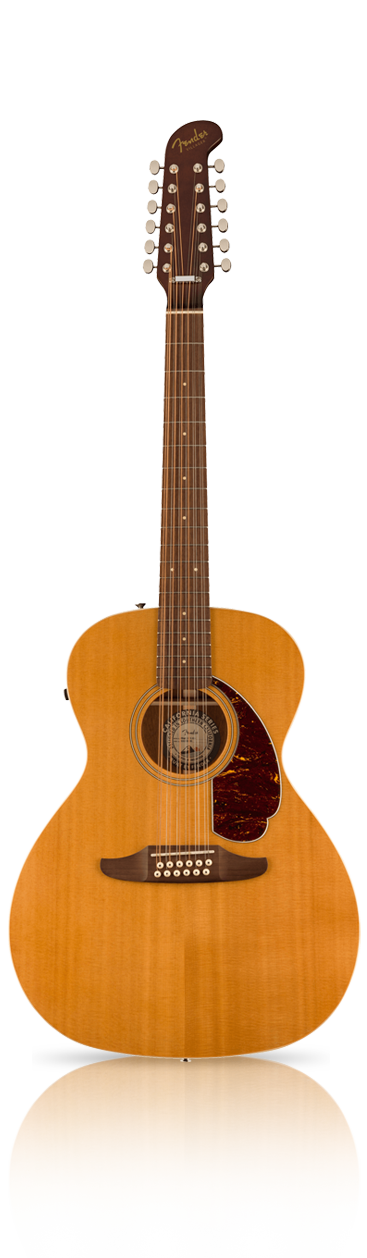 12 String Guitar Strings