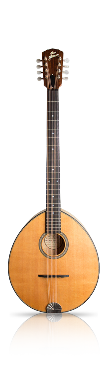 Octave Mandolin