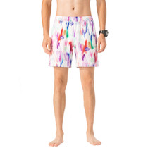 Alpine Swiss Mens Swim Shorts Beach Trunks Boardshorts Volley Shorts Quick Dry UPC