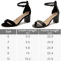 Alpine Swiss Janet Womens Leather Ankle Strap Low Heel Sandals Open Toe Strappy Chunky Heels Comfort Dressy Pumps Party Shoes