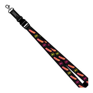The Sex Pistols Lanyard: Logo