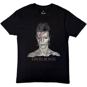 David Bowie Unisex T-Shirt: Aladdin Sane (Black)