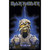 Iron Maiden Textile Poster: Powerslave Eddie