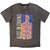 Alice In Chains Unisex Stone Wash T-Shirt: Skeletal (Charcoal Grey)