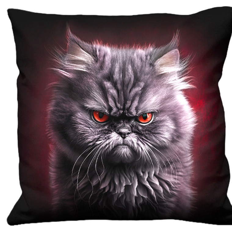 Spiral Square Cushion: Anger Management (Black)