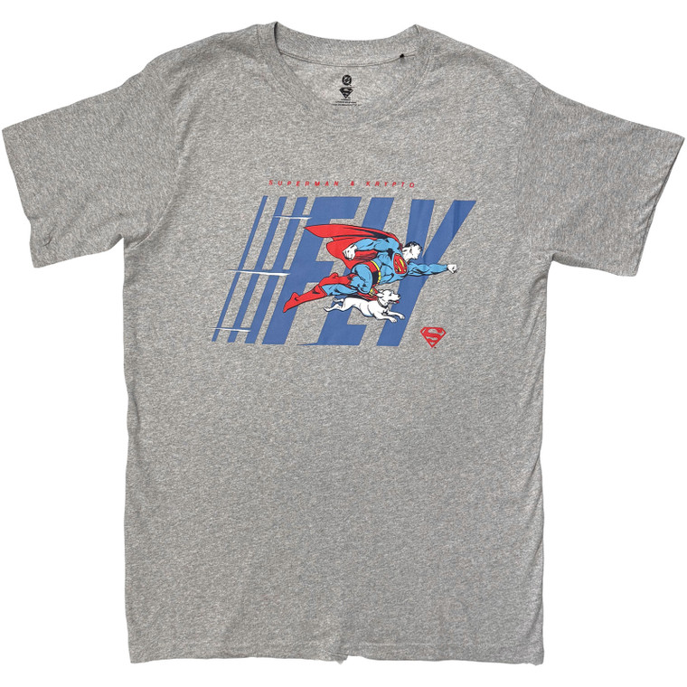 DC Comics Unisex T-Shirt: Fly (Grey)