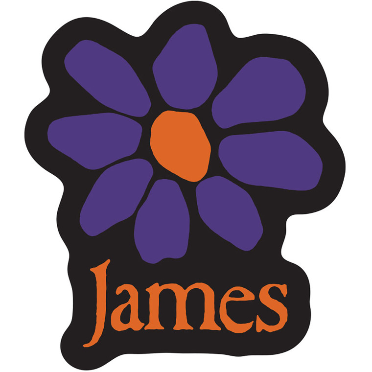 James Sticker: Orange Logo Purple Daisy
