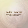 cedar + cypress body wash, 18 fl oz