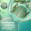 eucalyptus + rosemary foaming hand wash, 10oz/300 mL