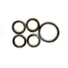 This valve section rebuild kit has five seals between the valve bodies. There is one the size of a quarter and four the size of a dime. These little rubber o-rings will prevent the hydraulic fluid from leaking through the middle of the valve body.