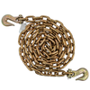 Grade 70 5/16 in. x 10 ft. Chain Assembly w/Grab Hooks | ECTTS
CA-51610-G7GG