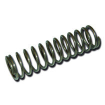 Large Universal Spring Lock