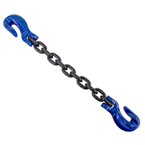 Grade 80 5/16 in. x 10 ft. Chain Assembly w/Grab Hooks