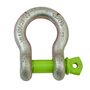 1 in. Alloy Screw Pin Shackle 12.5T | ECTTS