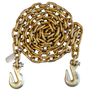 Grade 70 3/8 in. x 10 ft. Chain Assembly | ECTTS