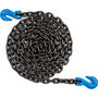 Grade 100 3/8 in. x 15 ft. Chain Assembly w/Grab Hooks on Both Ends| ECTTS
ICA-3815-G10GG