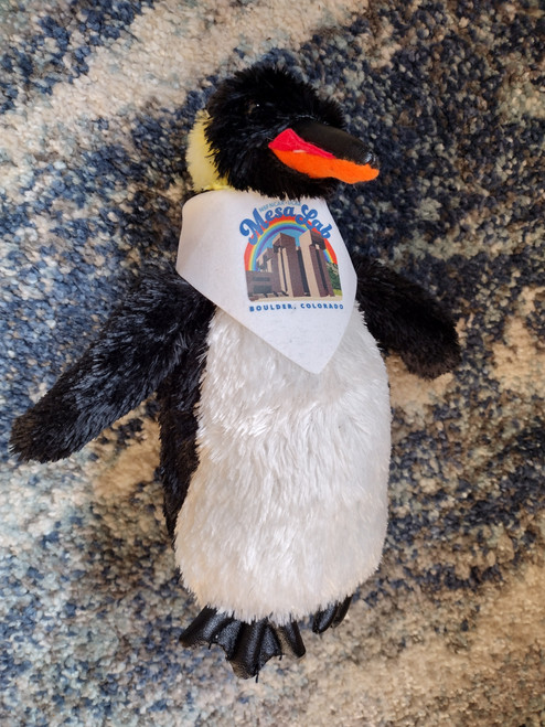 Penguin with NSF NCAR rainbow scarf
