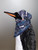Sporting two bandanas, Boreas wears one as a head covering and the other one as a neckerchief.