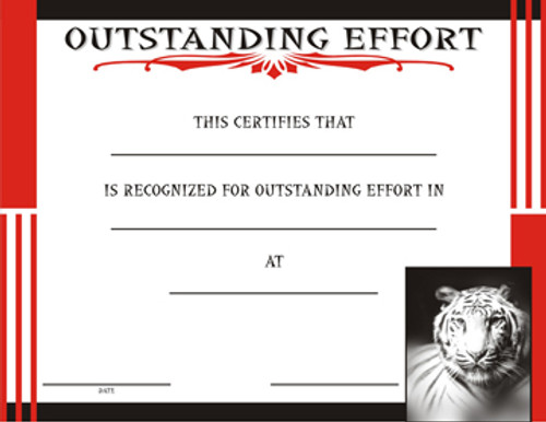 Martial arts Outstanding Effort certificate.