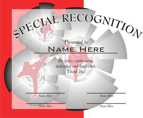 Martial arts Special Recognition certificate.