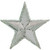 1/2" Silver Star patch.