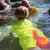 Neon by Nestling Boardies