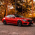 True Blood Vinyl Wrap On Car