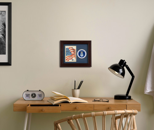 US Air Force Medallion Picture Frame - 8