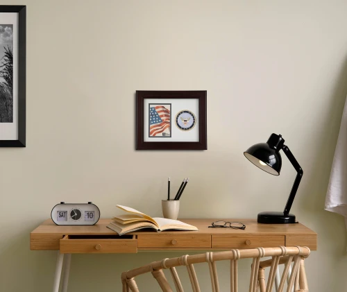 US Navy Medallion Picture Frame - 8