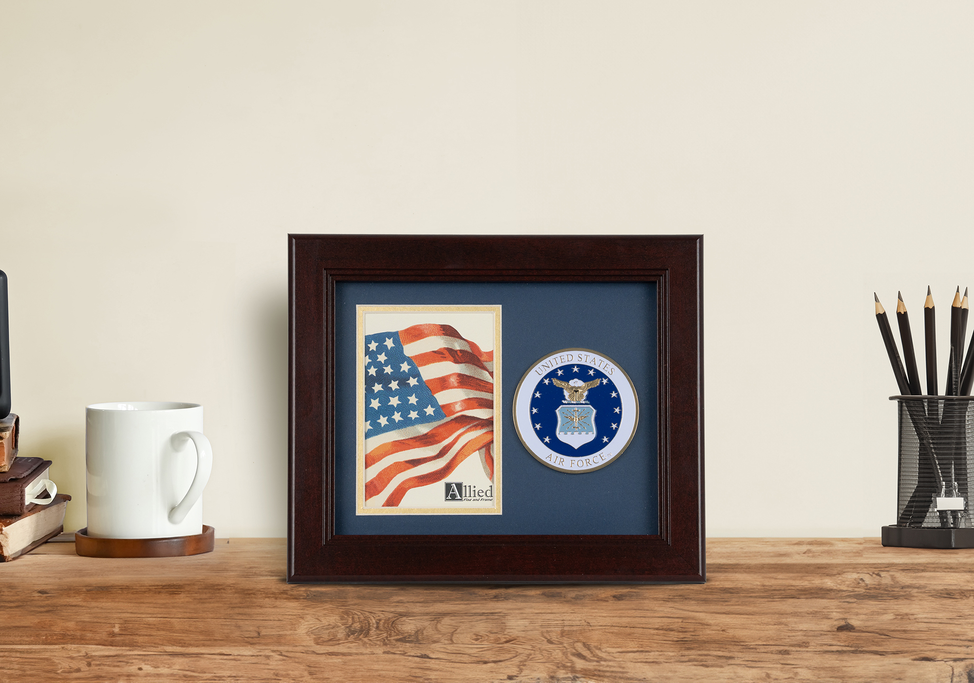 US Air Force Medallion Picture Frame - 8