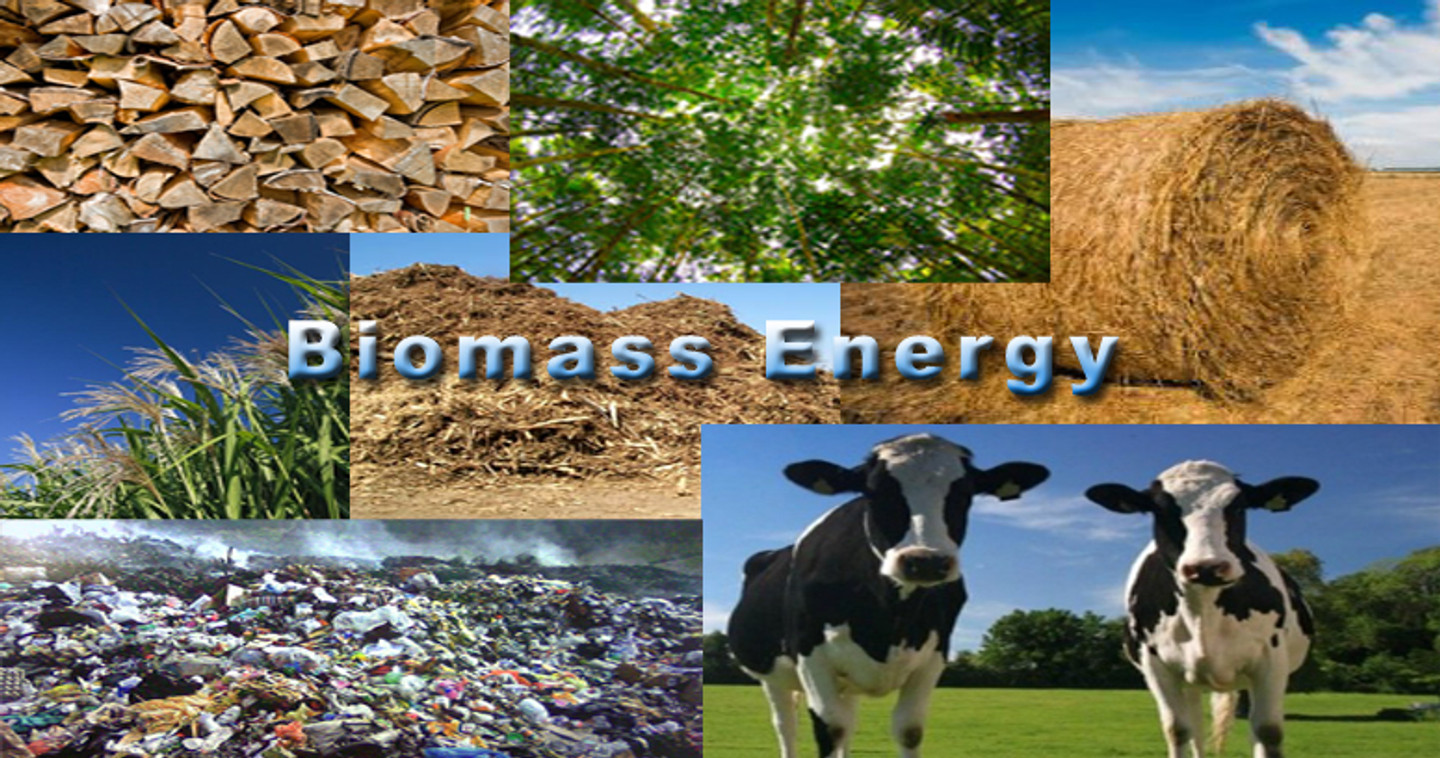 Biomass Energy is a renewable energy source Biomass Energy is a renewable energy source