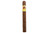 La Gloria Cubana Churchill Single